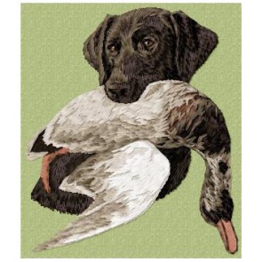 Labrador Retriever ( duck hunting) -  DD199