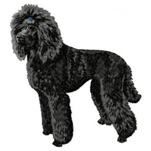 Poodle - DD202