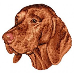 Hungarian Pointer (Vizsla) - DD203