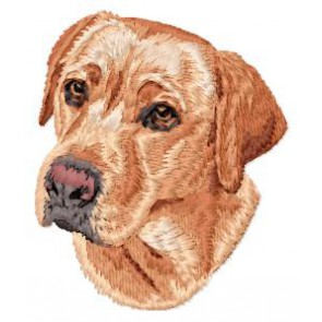 Labrador Retriever - DD206