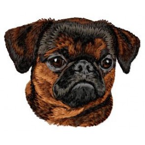 Petit Brabancon (Griffon) - DD210