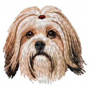 Lhasa Apso  - DD213