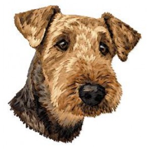 Welsh Terrier - DD214