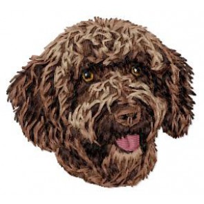 Spanish Water Dog - DD215