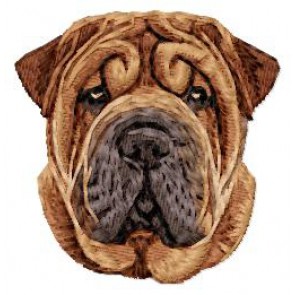 Shar Pei - DD216