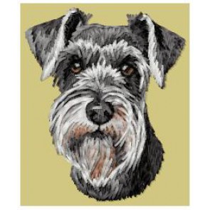 Schnauzer - DD217