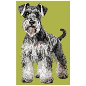 Schnauzer - DD218