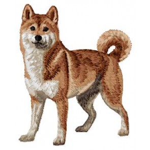 Shiba Inu - DD219