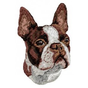 Boston Terrier - DD220