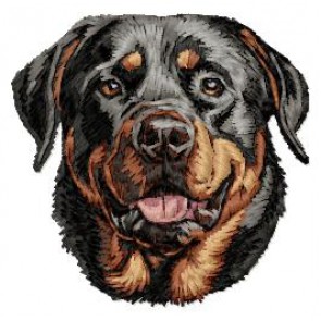 Rottweiler - DD222