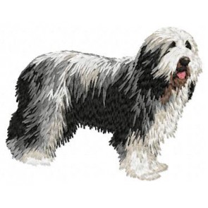 Bearded Collie - DD24