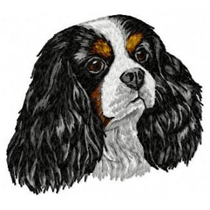 Cavalier King Charles Spaniel - DD25