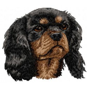 Cavalier King Charles Spaniel - DD26