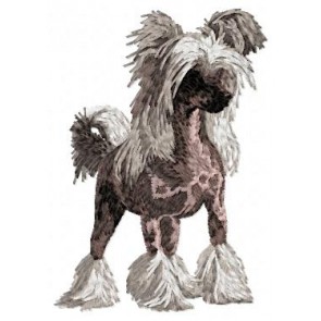 Chinese Crested Dog - DD30