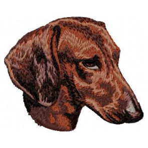 Dachshund - DD32