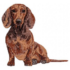 Dachshund - DD35