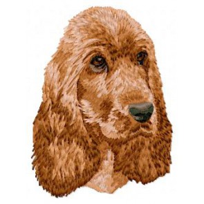 English Cocker Spaniel - DD38