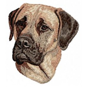 English Mastiff - DD39