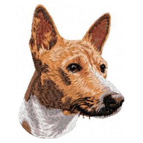 Basenji - DD3