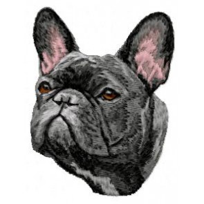 French Bulldog - DD40