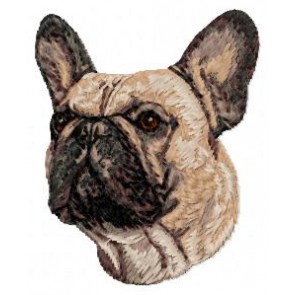 French Bulldog - DD41