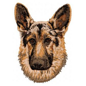 German Shepherd - DD42