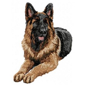 German Shepherd - DD43