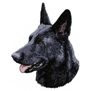 German Shepherd - DD44