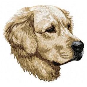 Golden Retriever - DD47