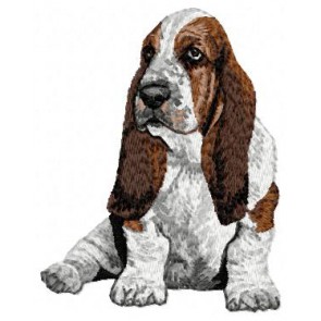 Basset Hound - DD4