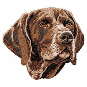 German Shorthaired Pointer - DD53