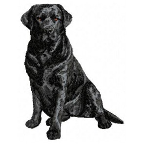 Labrador Retriever - DD61