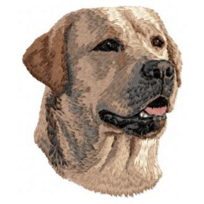 Labrador Retriever - DD64