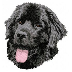 Newfoundland Dog - DD70