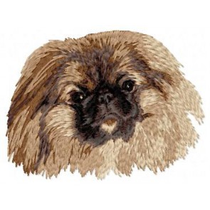 Pekinese - DD73