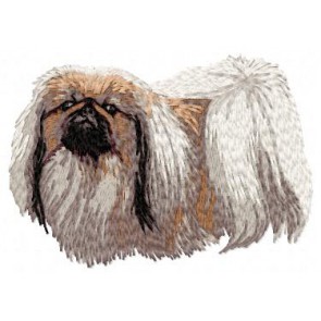 Pekinese - DD74