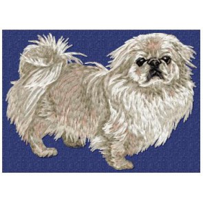 Pekinese - DD75