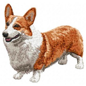 Pembroke Welsh Corgi - DD76