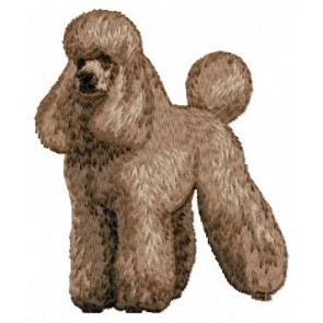 Poodle - DD79