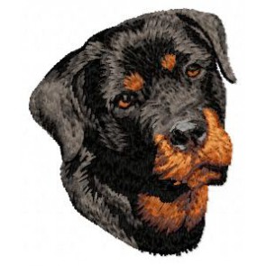 Rottweiler - DD83