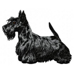 Scottish Terrier - DD85