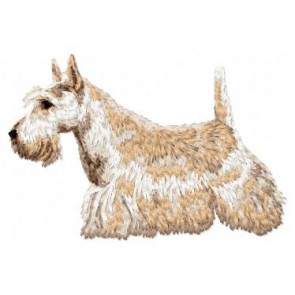 Scottish Terrier - DD86