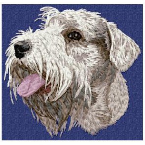 Sealyham Terrier - DD87