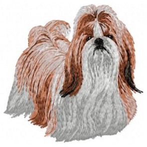 Shih-Tzu - DD89