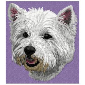 West Highland White Terrier - DD92