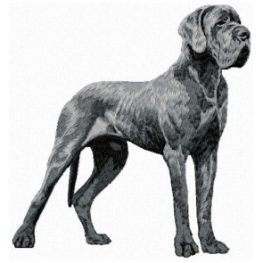 Great Dane - Large DD140