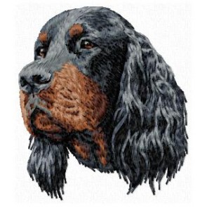 Gordon Setter - DD146