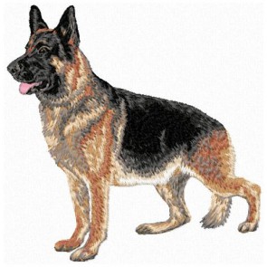 German Shepherd - Large DD149