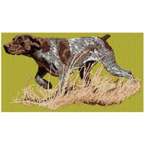 German Shorthaired Pointer - LargeDD182