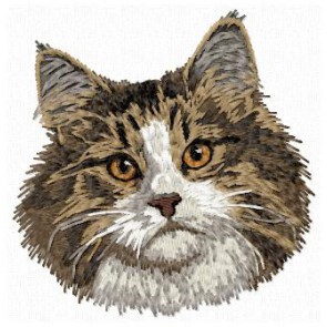 Norwegian Forest Cat -CD8